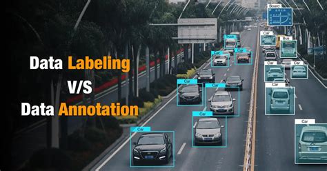Data Annotation VS Data Labeling - Osiz Technologies - coolestguyplanet.net