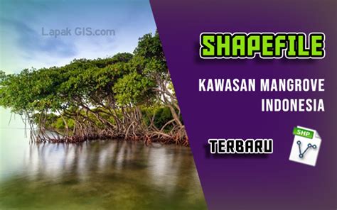 Data Shapefile Kawasan Mangrove Indonesia Terbaru - wintechmobiles.com
