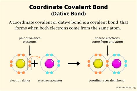 Dative Bond | Definition, Examples, How To Identify - wintechmobiles.com