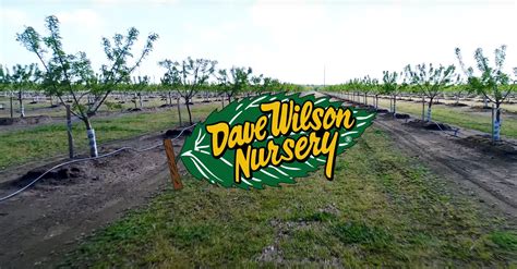 Dave Wilson Nursery - raincitystudios.com