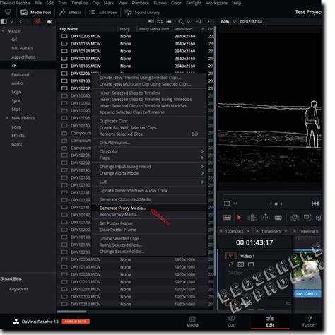 DAVINCI RESOLVE PROXY MEDIA FORMAT Situs Slot Gacor Dan Link Bandar Slot Paling Terbarukan