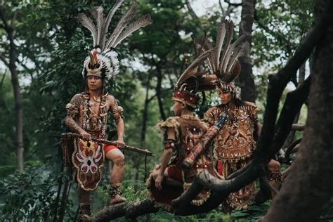 Dayak tribe of Borneo, Indonesia - BBC - wintechmobiles.com