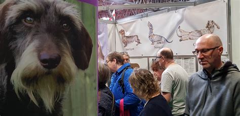 DBC News - The Dachshund Breed Council UK