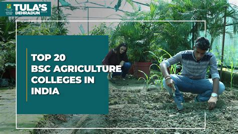 DBUU DEHRADUN on Instagram: " Calling all BSC Agriculture students! Dev ...