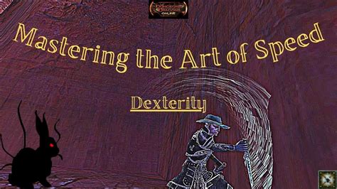 DDO Alternate Stats to Hit and Damage in 2024 — Dexterity