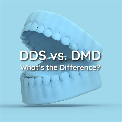 DDS vs. DMD: What’s the Difference? VIPcare Dental