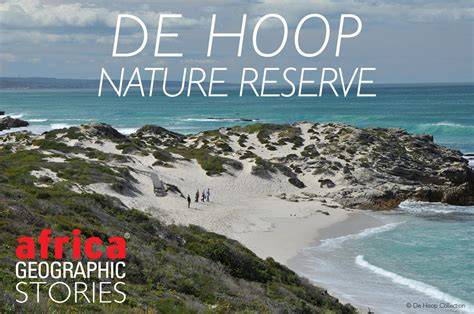De Hoop Nature Reserve - raincitystudios.com