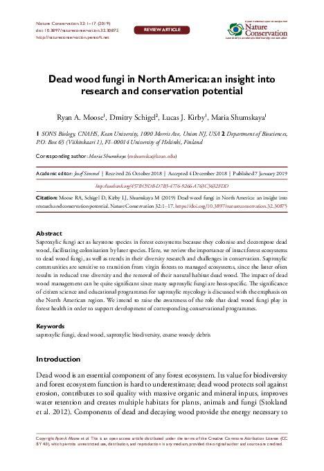 Dead wood fungi in North America: an insight into research and ... - raincitystudios.com