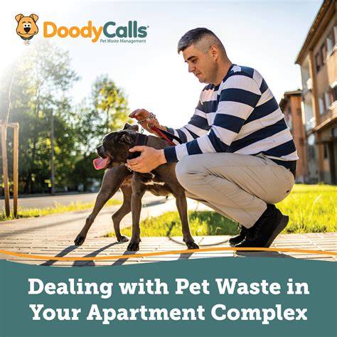 Dealing with Pet Waste in Your Apartment Complex - raincitystudios.com
