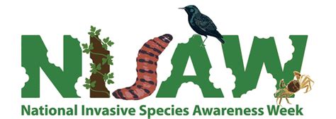 DEC announces return of Invasive Species Awareness Week