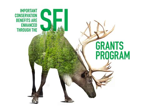 DEC opens applications for forest conservation grants