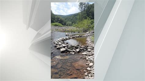 DEC warns against building rock dams on trout streams