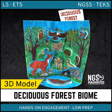 Deciduous Forest Biome - Blue Planet Biomes - muktibox.com