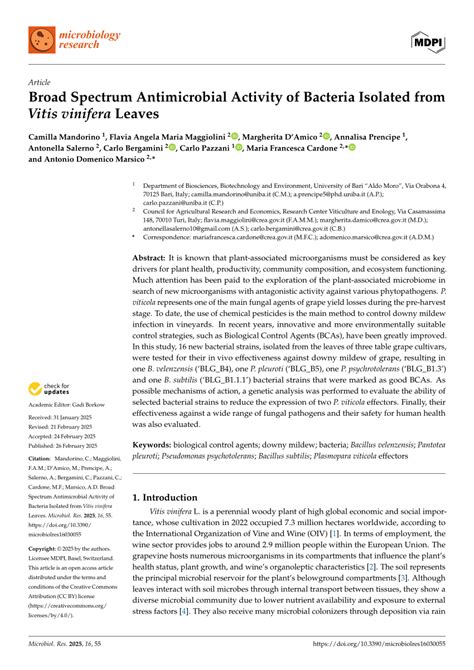 Deciphering the Broad Antimicrobial Activity of … - raincitystudios.com