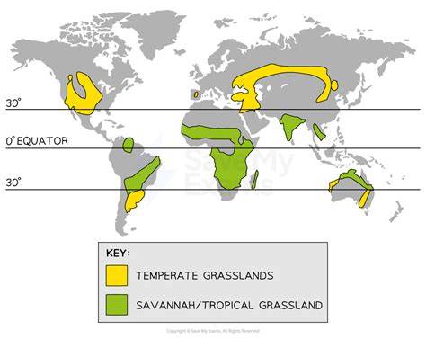 Deciphering the distribution of the savanna biome - raincitystudios.com