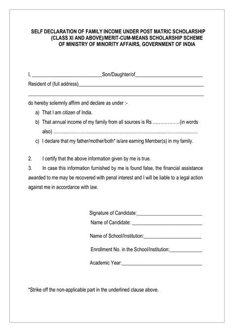 DECLARATION OF NO FORM PDF