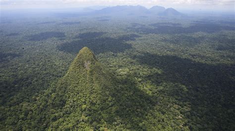 Deep inside the untouched Amazon rainforest, something ... - muktibox.com