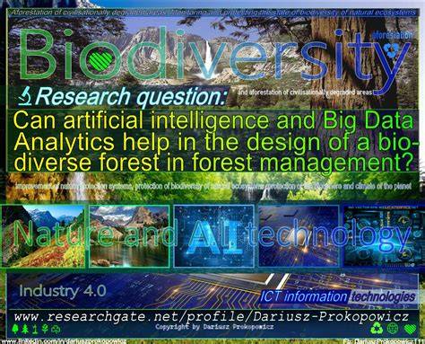 Deep Learning and Image Analytics for Forest Land Management ... - raincitystudios.com
