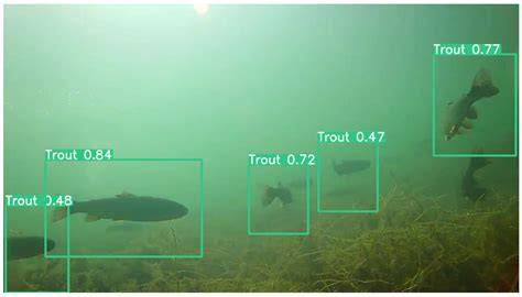 Deep Learning for Marine Species Recognition - Springer - raincitystudios.com