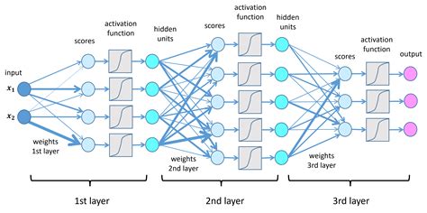 Deep Neural Network - an overview | ScienceDirect Topics - coolestguyplanet.net