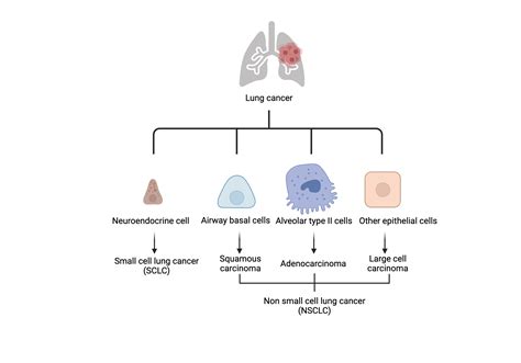 Deep neural network of E-nose sensor for lung cancer classification ... - coolestguyplanet.net