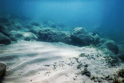 Deep Sea Minerals exploration licence: CCZ project implications for ... - raincitystudios.com