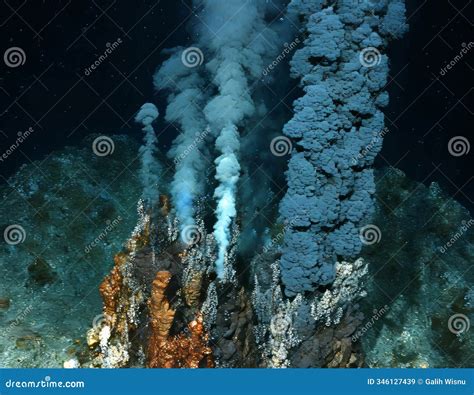 Deep-sea and shallow-water hydrothermal vent ... - ScienceDirect - raincitystudios.com