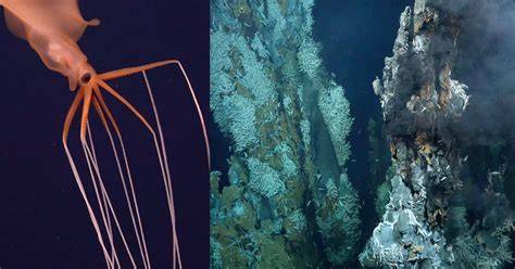 Deep-Sea Hydrothermal Vents and New Life-Forms Are Discovered - raincitystudios.com
