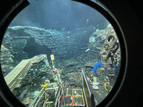 deep-sea microbiology lab - members - Rutgers University - muktibox.com