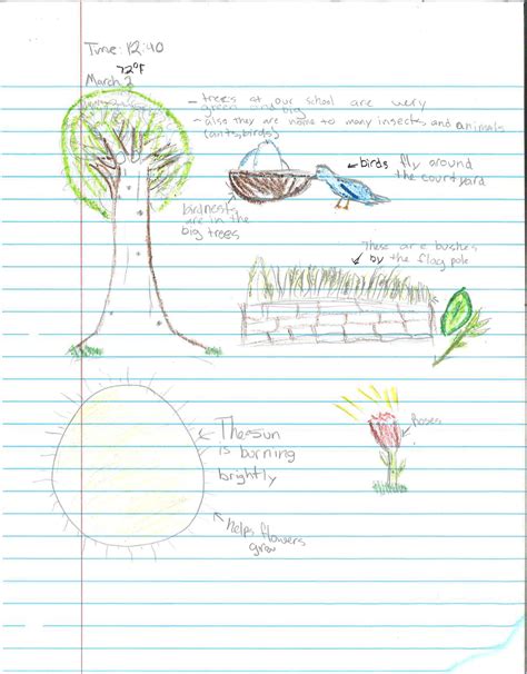 Deepening Students’ Connection to Nature - Edutopia - raincitystudios.com