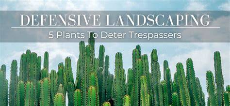 Defensive Landscaping: Using Plants For Protection - raincitystudios.com