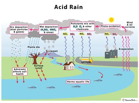 Define acid rain and its causes. - Examples | CK-12 Foundation - wintechmobiles.com
