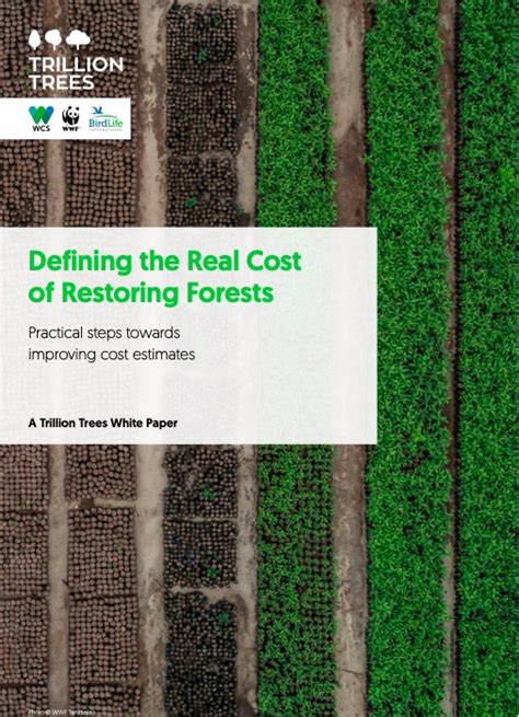 Defining the Real Cost of Restoring Forests - Trillion Trees - muktibox.com