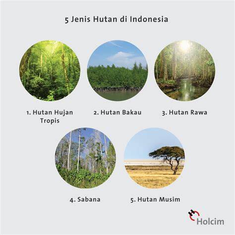Definisi dan Jenis Hutan di Indonesia - raincitystudios.com