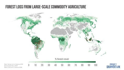 Deforestation and Forest Loss - Our World in Data - muktibox.com