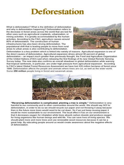 DEFORESTATION PDF