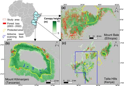 Deforestation reduces microclimate buffering of African … - raincitystudios.com