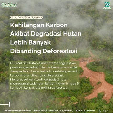 Degradasi hutan - Wikipedia bahasa Indonesia, ensiklopedia bebas - raincitystudios.com