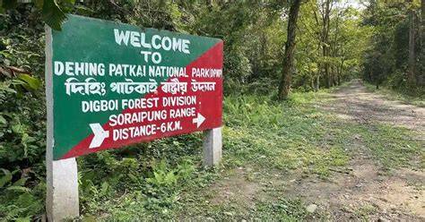 Dehing Patkai National Park - raincitystudios.com