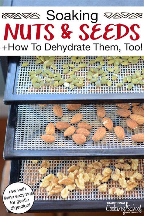 Dehydrate Nuts and Seeds for Long-Lasting Freshness - raincitystudios.com