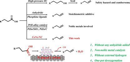 Dehydrative decarbonylation of fatty acids into long-chain olefins over ... - wintechmobiles.com