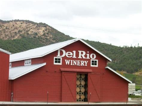 DEL RIO VINEYARDS & WINERY (Gold Hill) - Tripadvisor