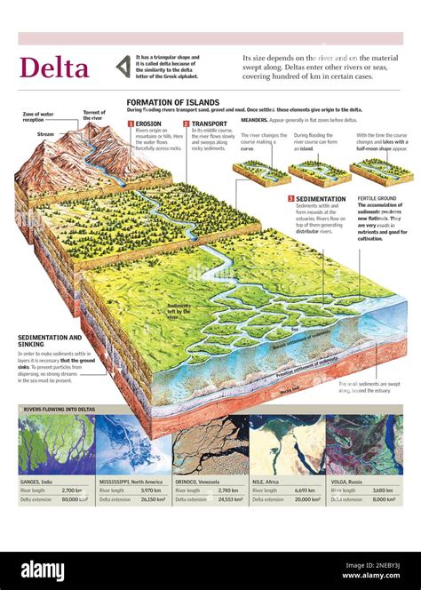 Delta (Landform) - The Canadian Encyclopedia - wintechmobiles.com