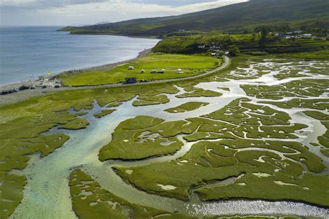 Deltas - A Level Geography - wintechmobiles.com