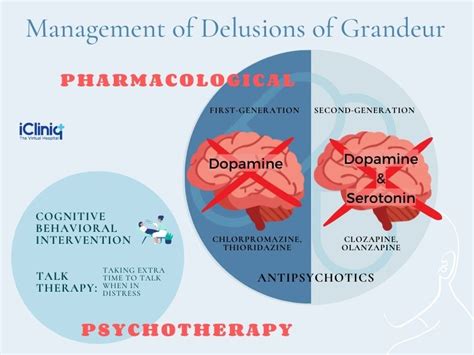 Delusions Of Grandeur - Tanda, Penyebab, Gejala, Cara … - wintechmobiles.com