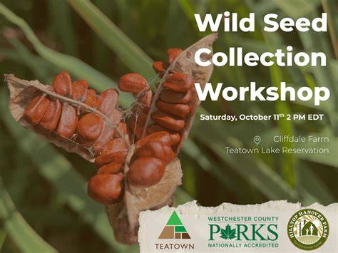 Demystifying Wild Seed Collection - Institute for … - raincitystudios.com