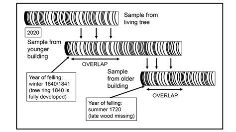 Dendrochronology and provenance determination - wintechmobiles.com