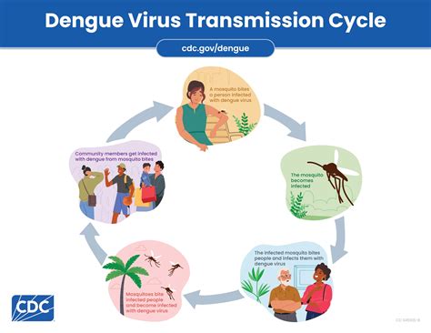 Dengue - Diponegoro University - coolestguyplanet.net