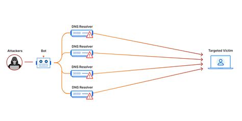 Denial of Service (DoS) and Distributed Denial of Service (DDoS ... - coolestguyplanet.net