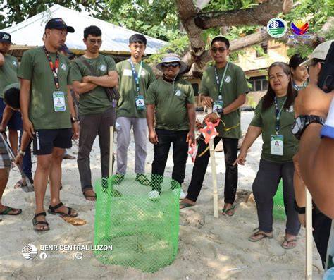 DENR strengthens marine turtle protection in Zambales - raincitystudios.com